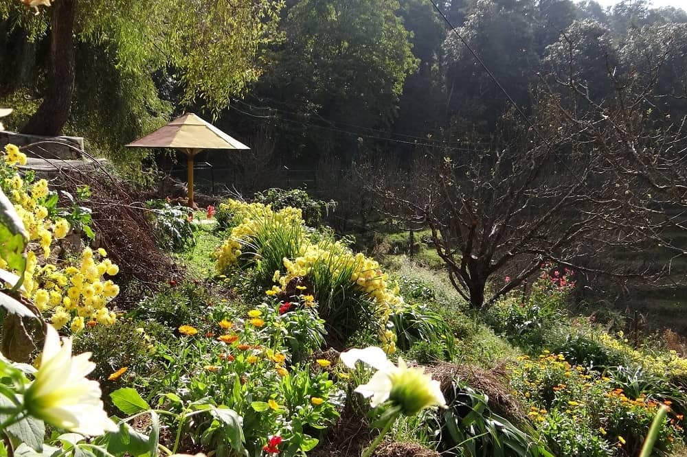 Chaubatia Gardens, uttarakhand