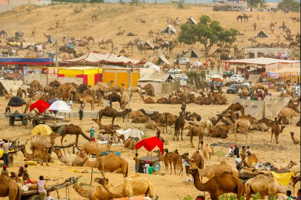 Pushkar