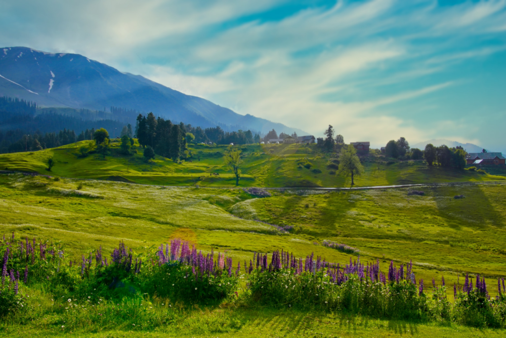 honeymoon places in Kashmir