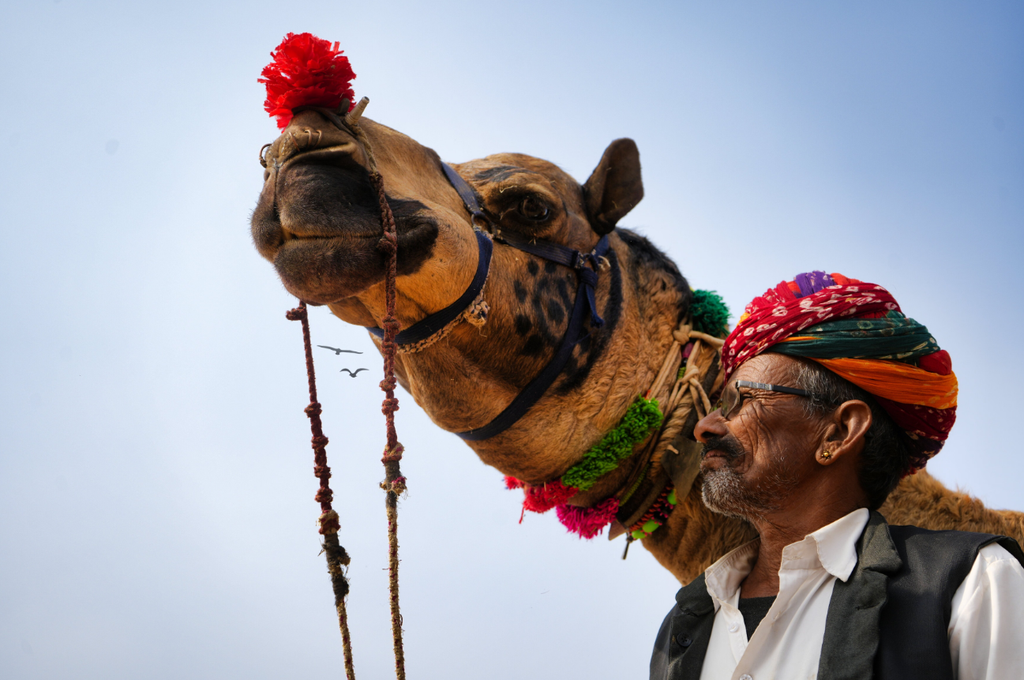 budget trip to Rajasthan